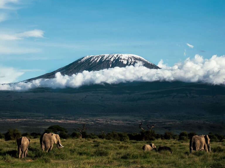 kilimanjaro view