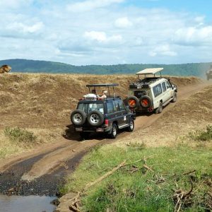 safari, watching game, jeep