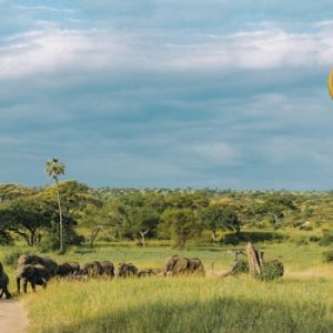 A serene safari scene with African elephants and a hot air balloon over a lush savannah.