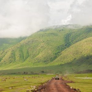 Explore the vast landscapes and wildlife of Ngorongoro Crater with a safari jeep adventure.