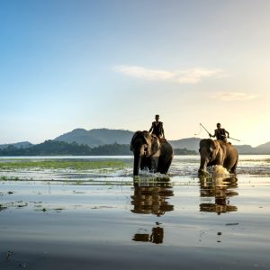 Two men riding elephants across a serene lake at sunset with mountain backdrop.