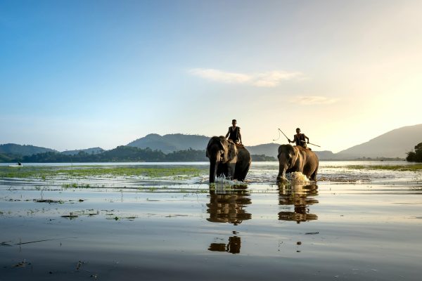Two men riding elephants across a serene lake at sunset with mountain backdrop.